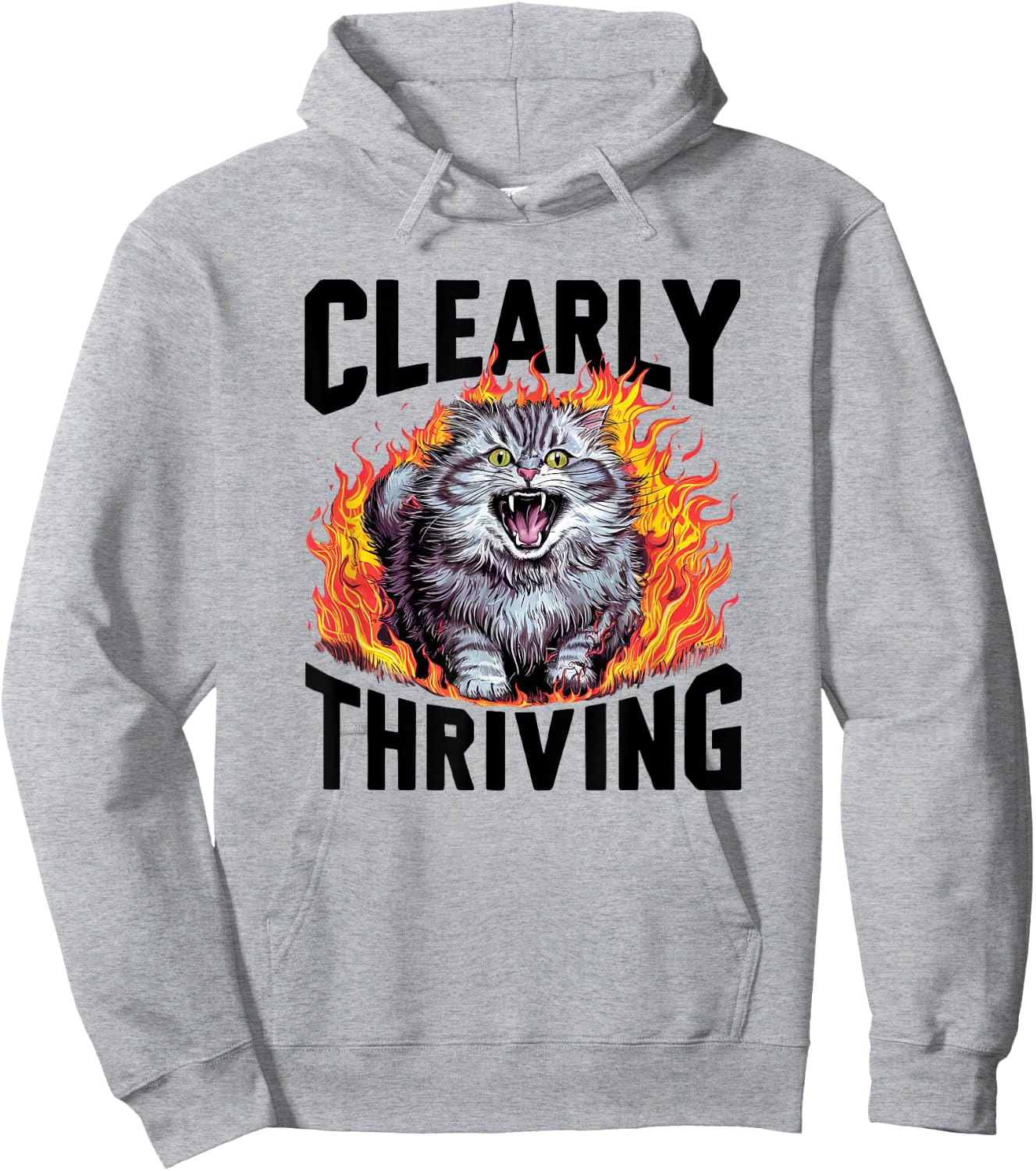Cat Screaming Clearly Thriving Scary Cute Funny Sarcastic Men Women Girls Kids Hoodie - Hoodie | Ash