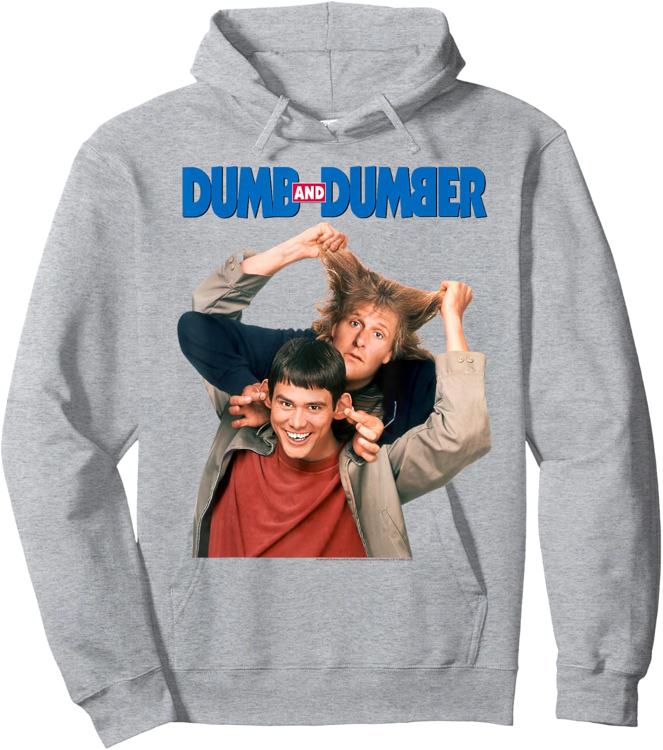 Dumb and Dumber Key Art Hoodie - Hoodie | Ash