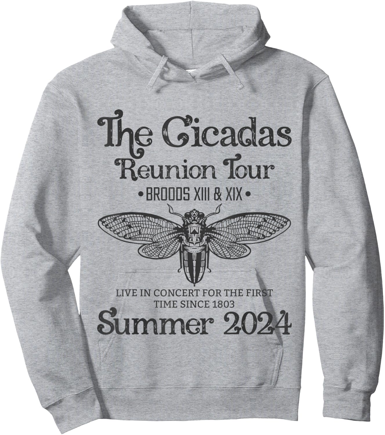 The Cicada Reunion U.S Tour 2024 Cicada Concert Fest Lover Hoodie - Hoodie | Ash