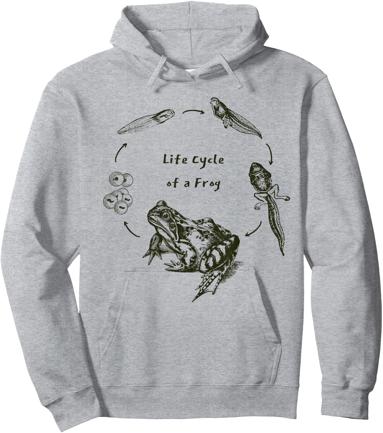 Frog Toad Life Cycle Biology Teacher Vintage Science Hoodie - Hoodie | Ash