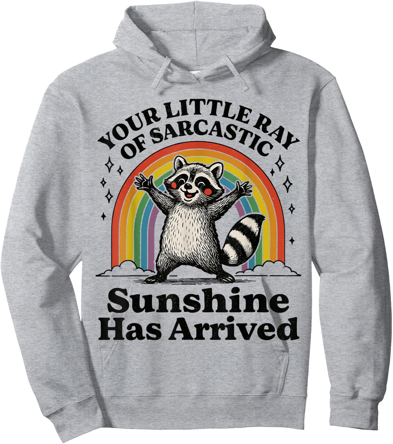 Your Little Ray Of Sarcastic Sunshine Has Arrived Raccoon Hoodie - Hoodie | Ash
