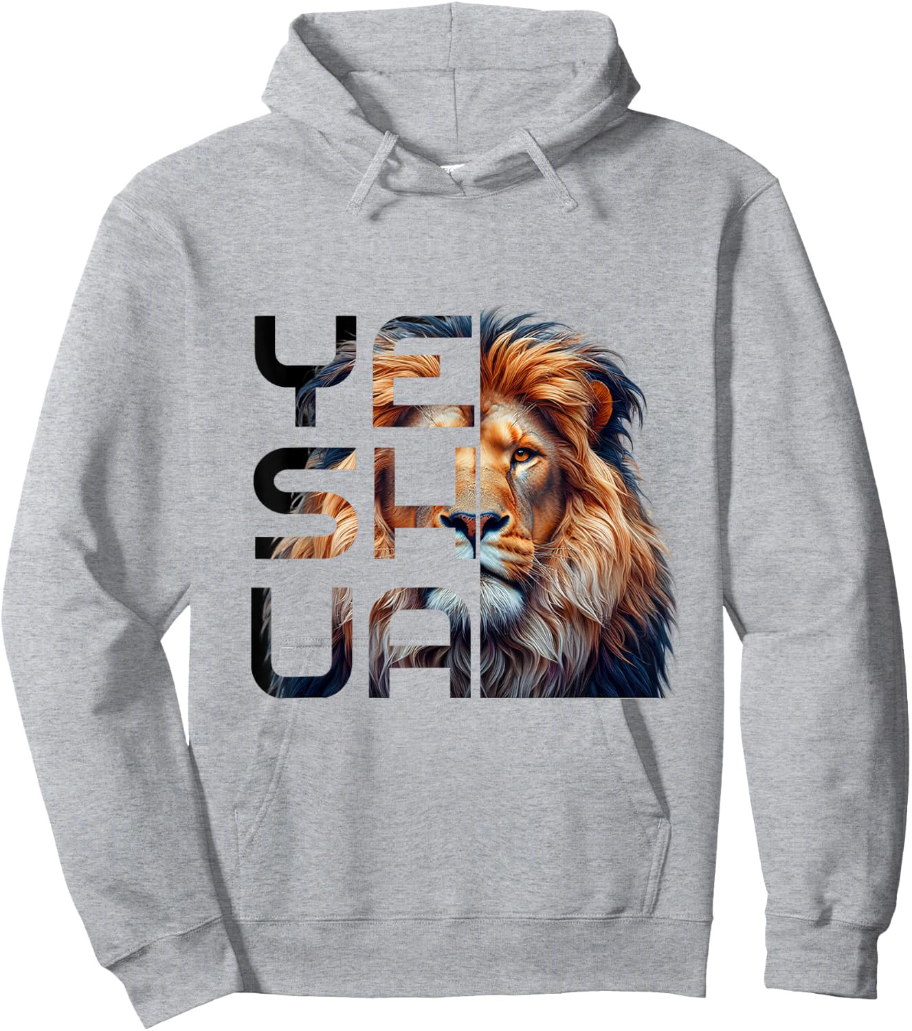 Christian Religious Jesus The Lion Of Judah Yeshua Bible Hoodie - Hoodie | Ash