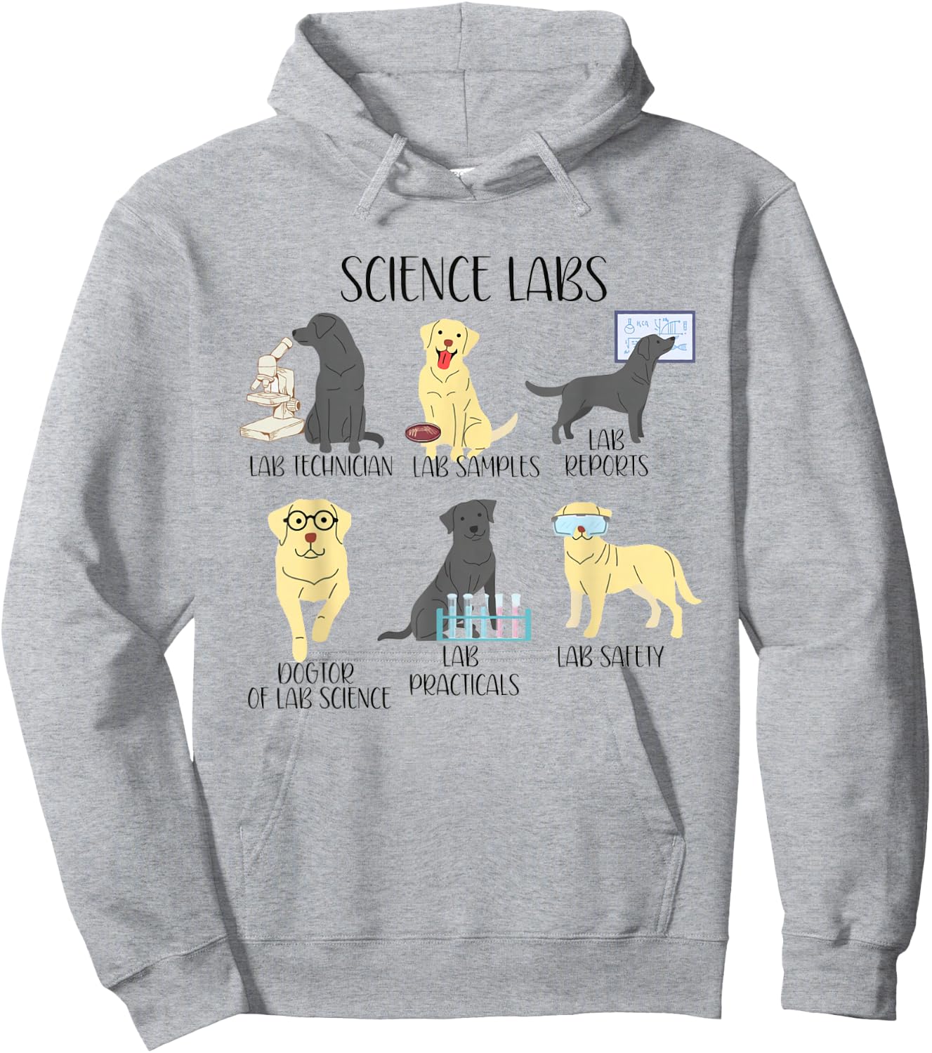 Science Labs Funny Dogs Labrador Retriever Science Teacher Hoodie - Hoodie | Ash