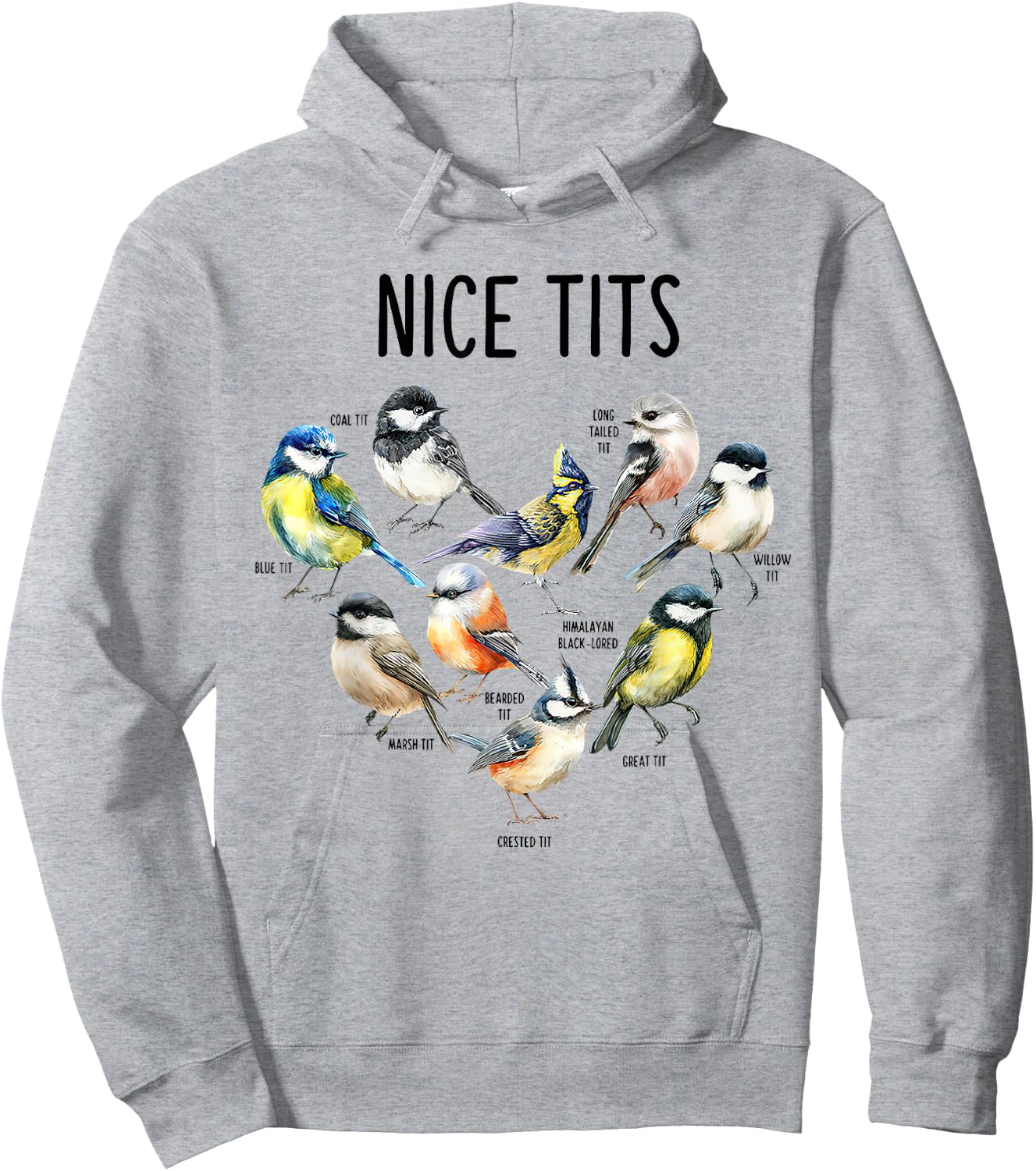 Retro Funny Nice Tits Birds Birdwatcher Bird Watching Humor Hoodie - Hoodie | Ash