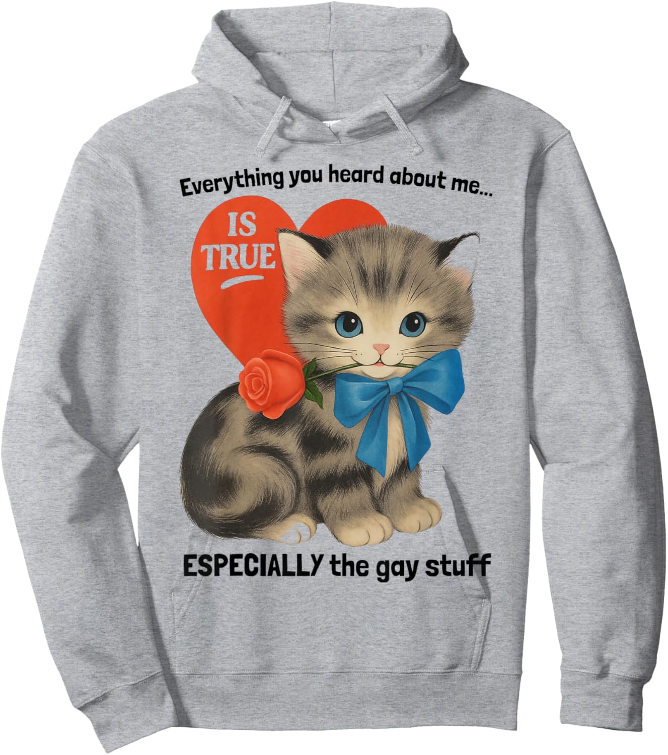 Everything You Heard About Me Is True... Funny Gay Cat Humor Hoodie - Hoodie | Ash