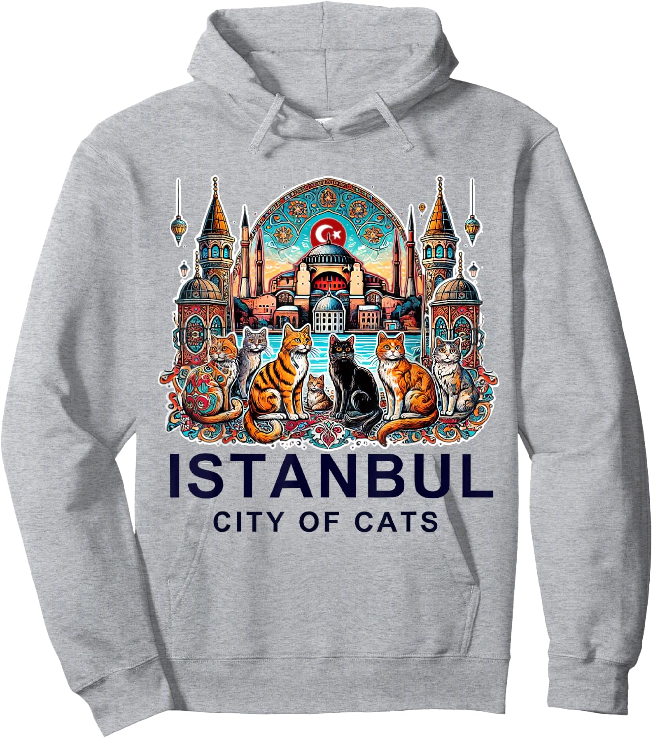 Istanbul, Turkey - City of Cats II Hoodie - Hoodie | Ash