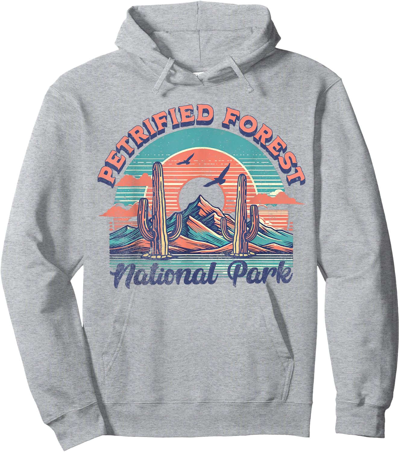 Petrified Forest National Park Hoodie - Hoodie | Ash