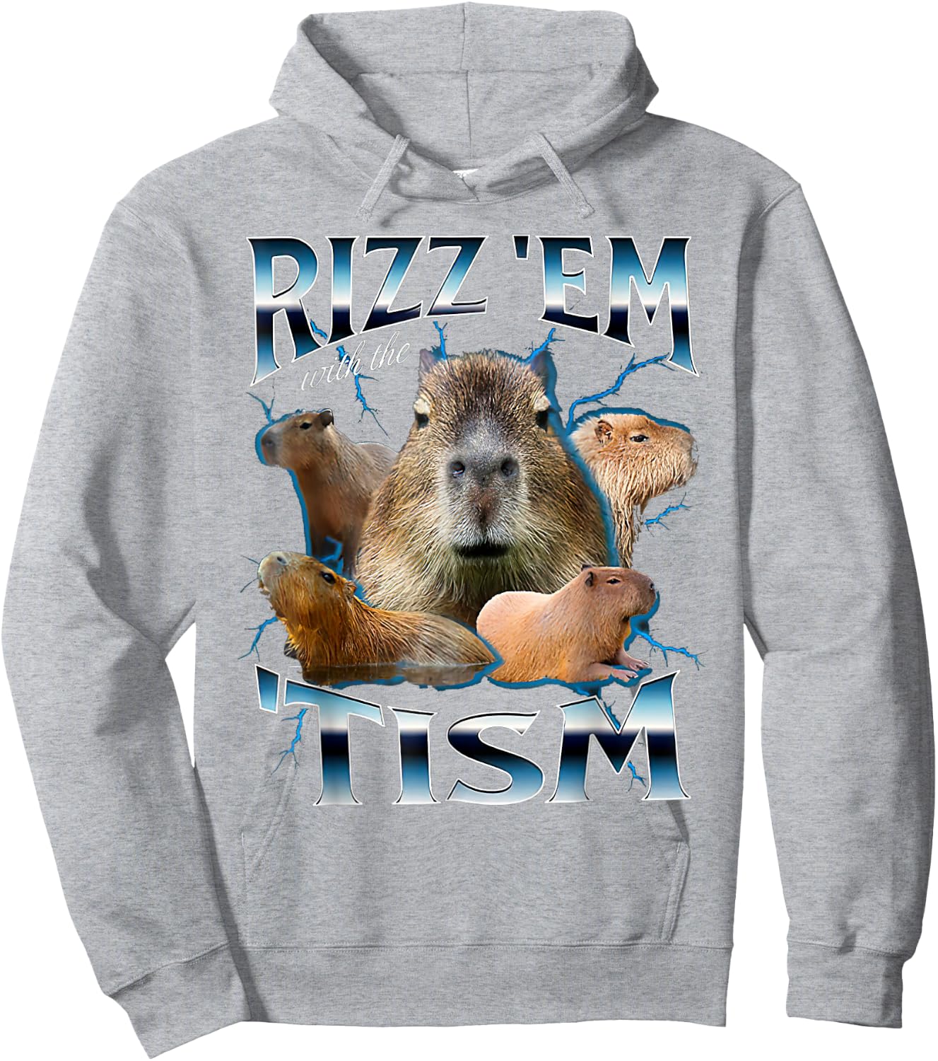 Rizz Em With The Tism Capybara Funny Oddly Dank Meme Hoodie - Hoodie | Ash