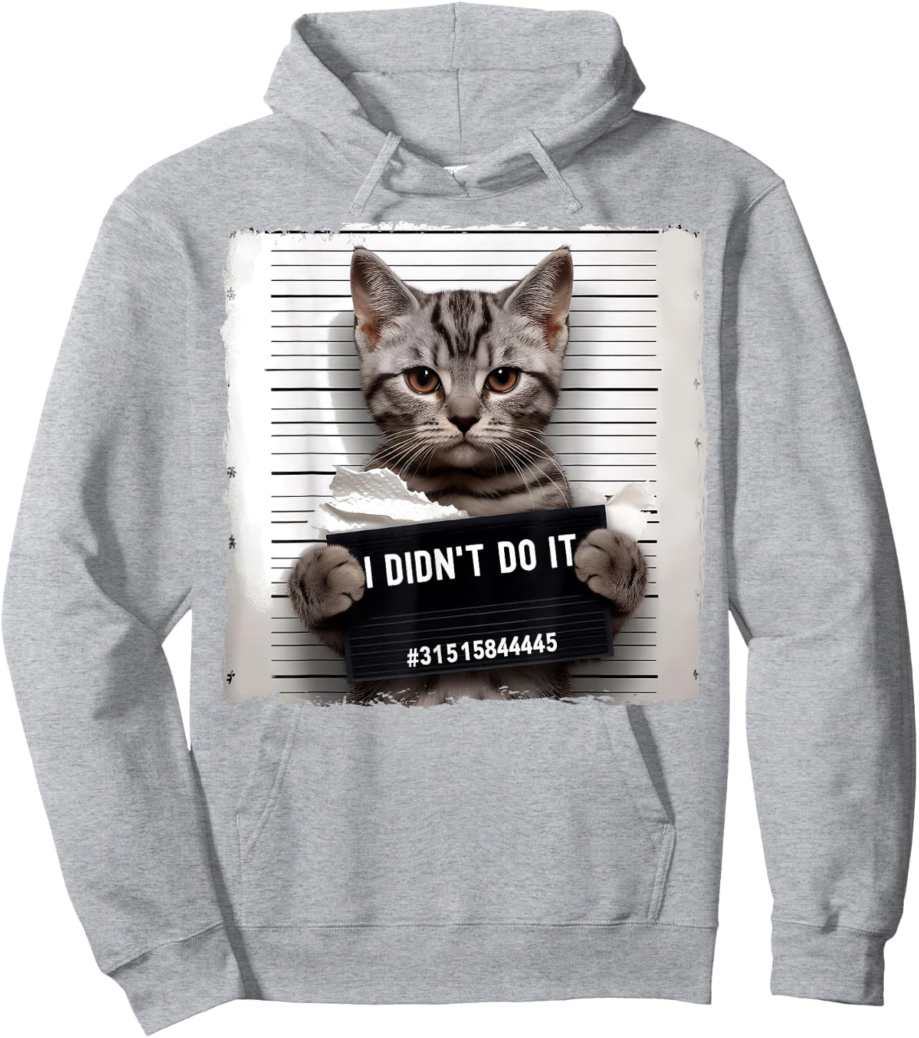 Funny Cat Meme Police Lineup I Didn't Do It Angry Kitten Men Women Kids Hoodie - Hoodie | Ash