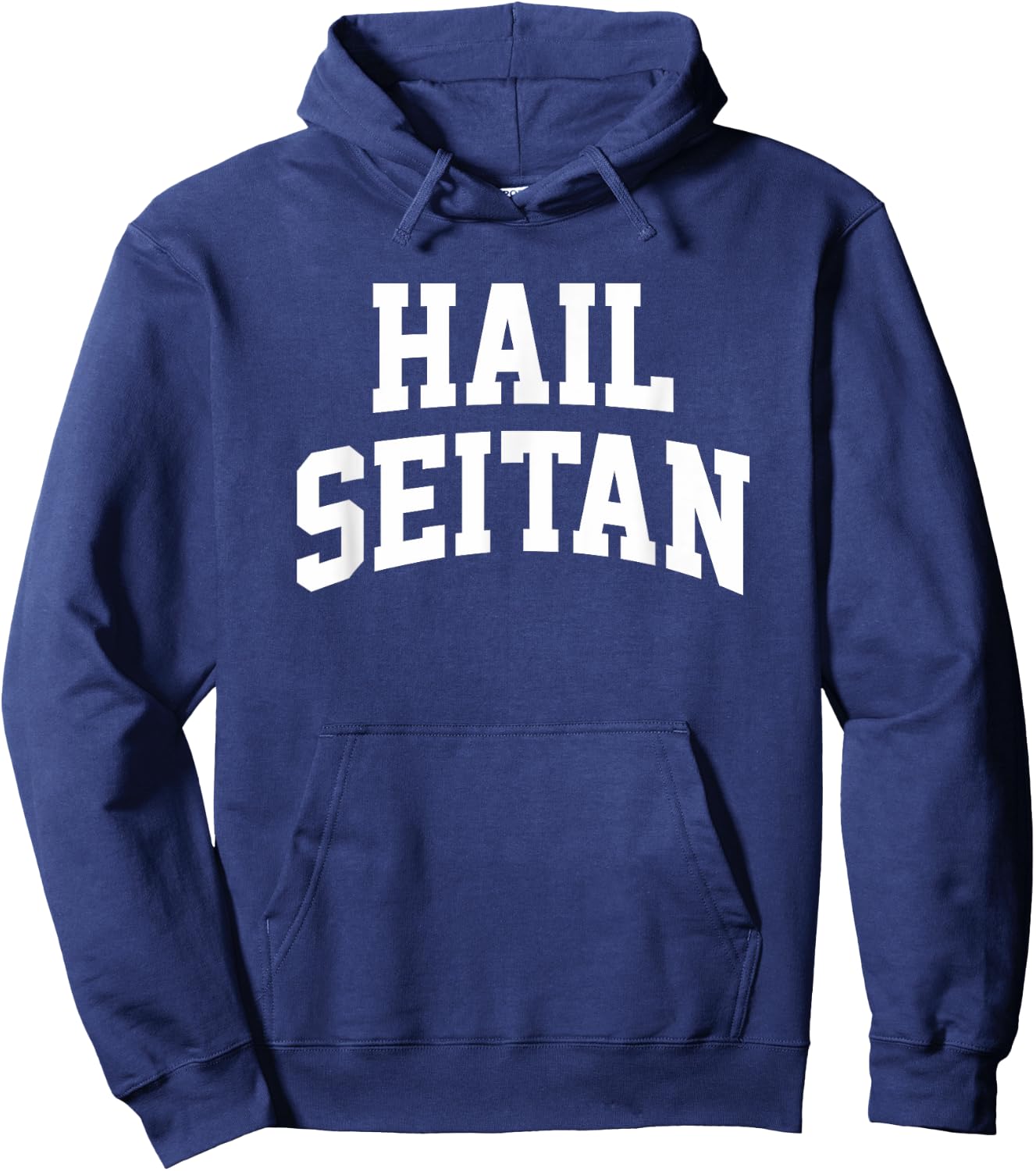 Hail Seitan Funny Vegan Saying Vegetarian Cool Slogan Graphi Hoodie - Hoodie | Navy