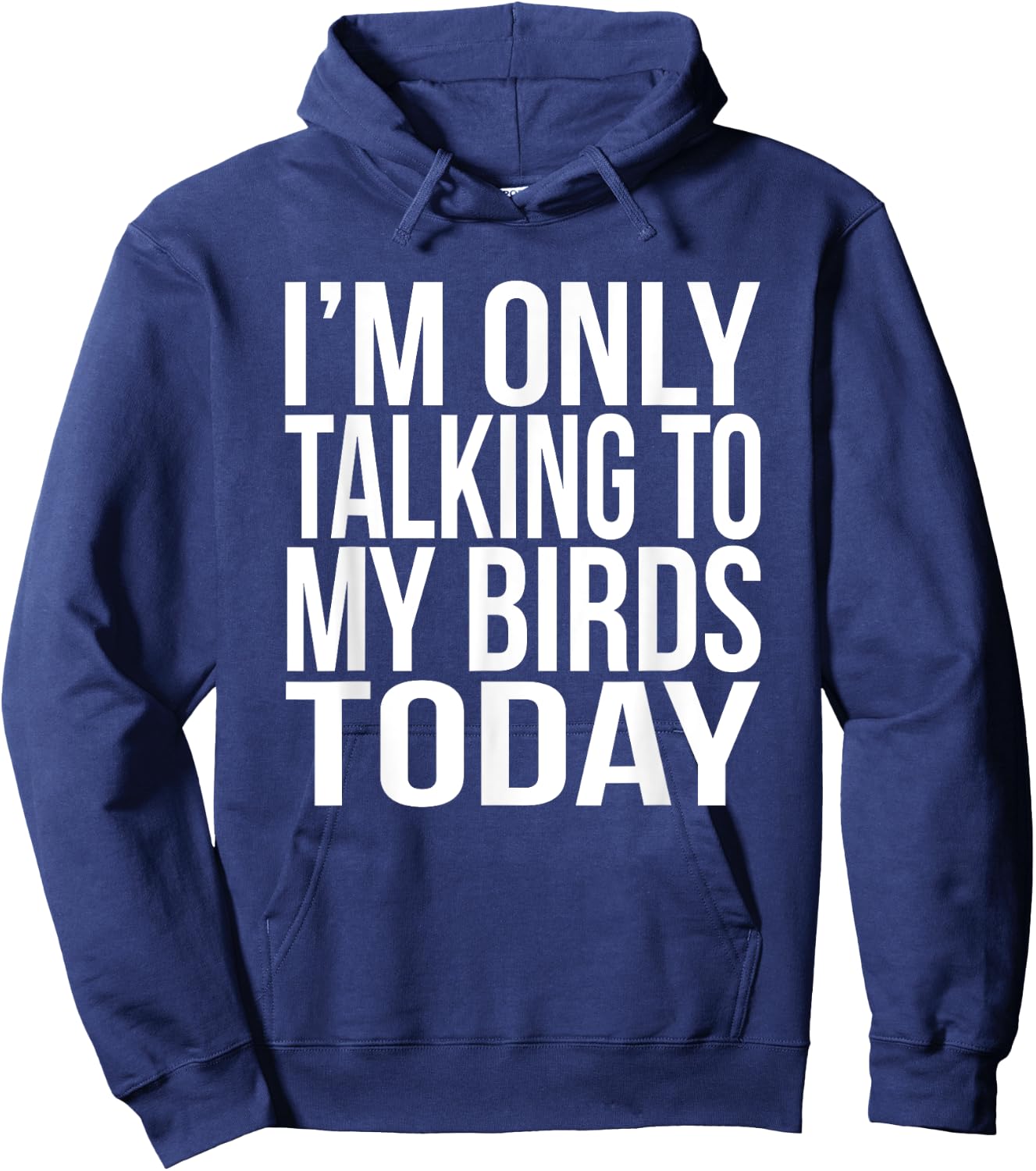 I'm Only Talking To My Birds Today Gift A Pet Bird Lover Hoodie - Hoodie | Navy