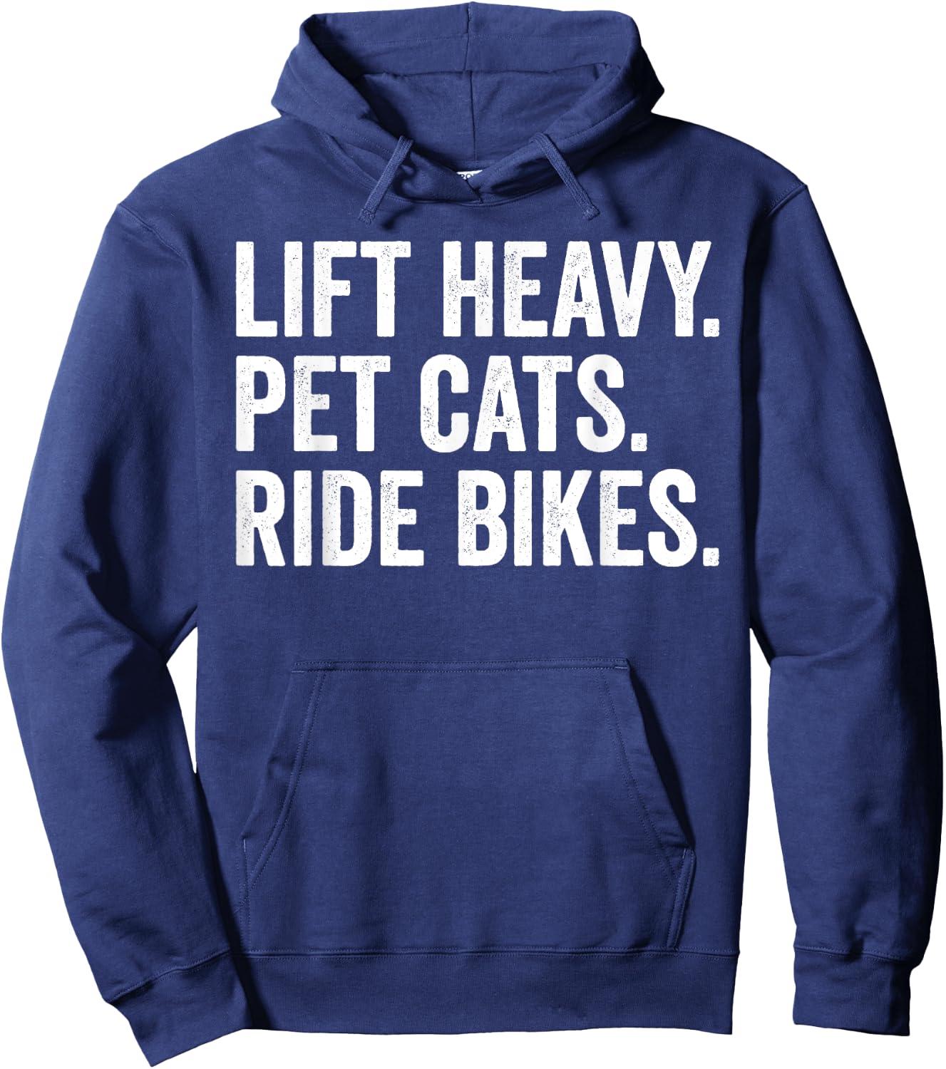 Lift Heavy Pet Cats Ride Bikes Gym Workout Motorcycle Hoodie - Hoodie | Navy