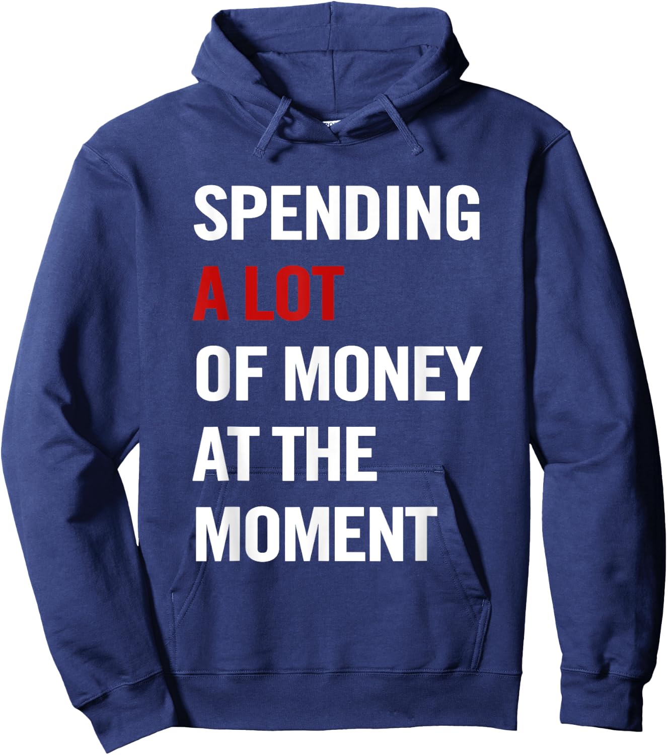 Spending A Lot Of Money At The Moment Funny Quote Men Hoodie - Hoodie | Navy