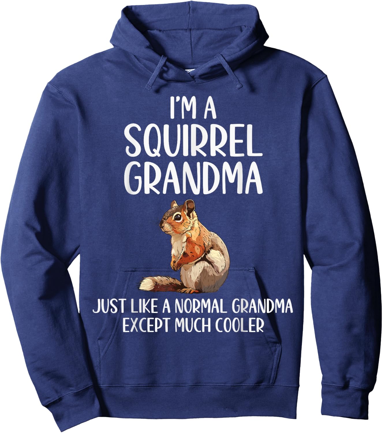 Squirrel Grandma Definition Squirrel Lover Mothers Day Hoodie - Hoodie | Navy