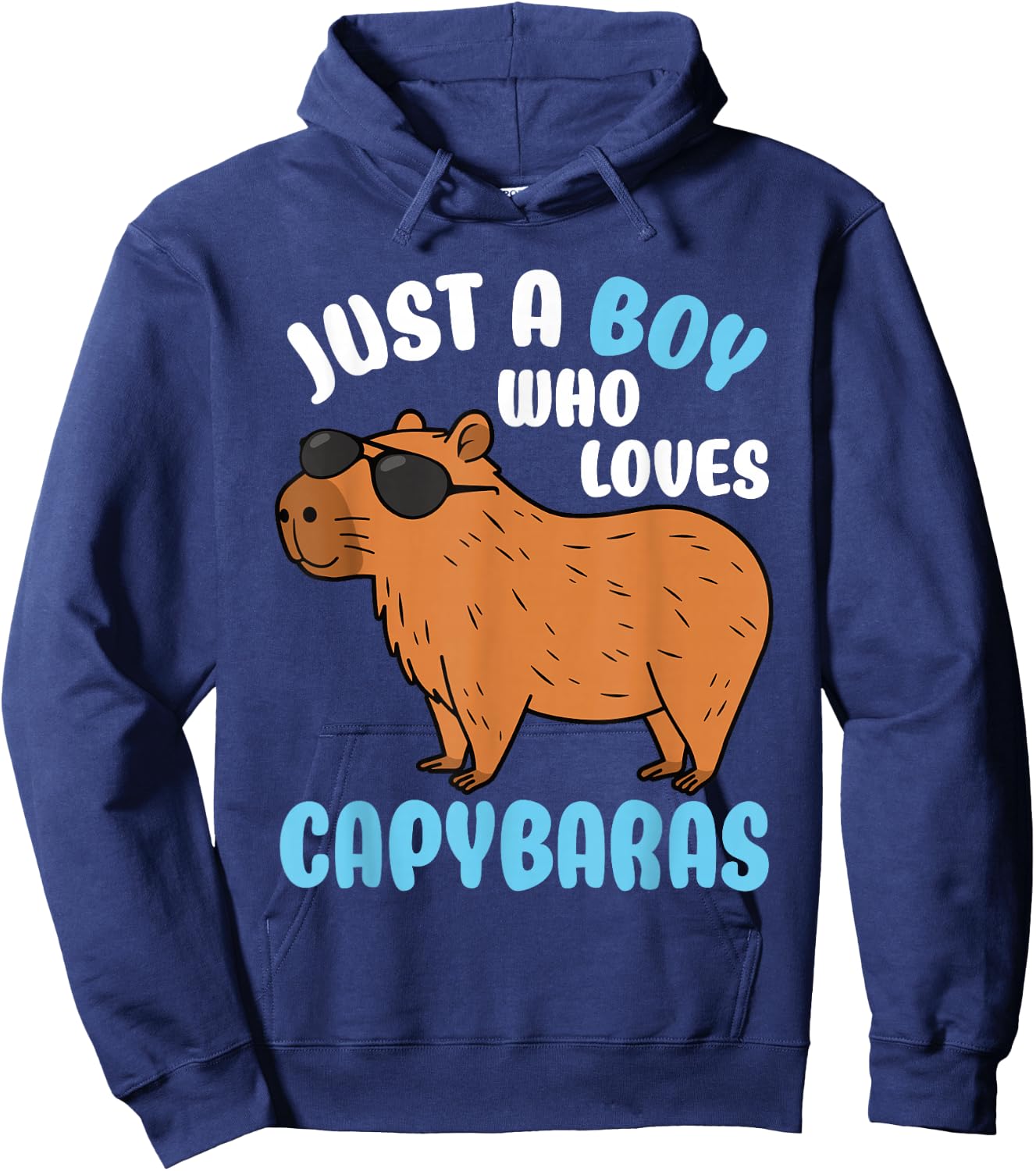 Just A Boy Who Loves Capybaras Rodent Capybara Lover Hoodie - Hoodie | Navy