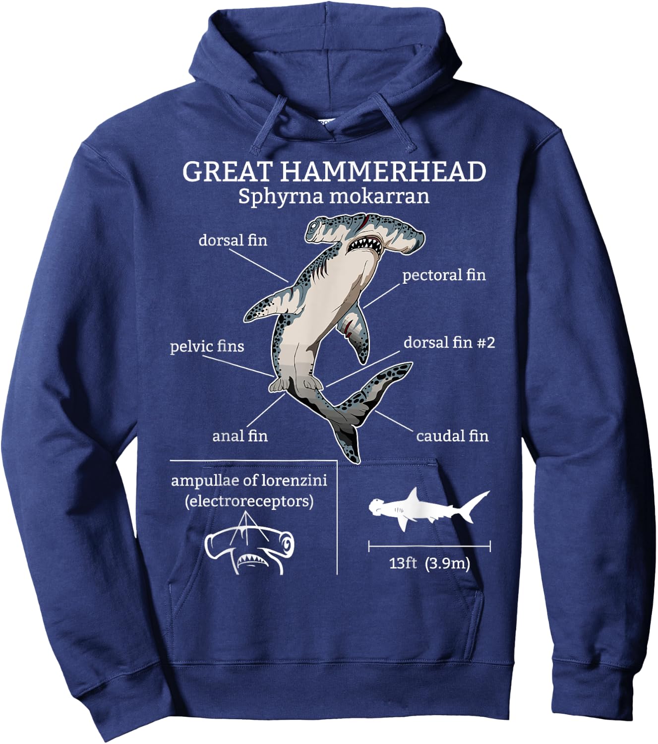 Great Hammerhead Shark Anatomy Ocean Animal Marine Biologist Hoodie - Hoodie | Navy