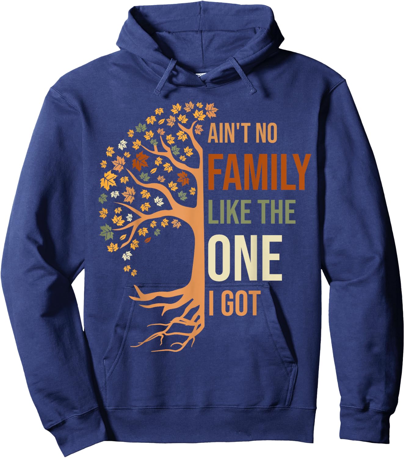 Ain't No Family Like The One I Got Funny Family Reunion Hoodie - Hoodie | Navy