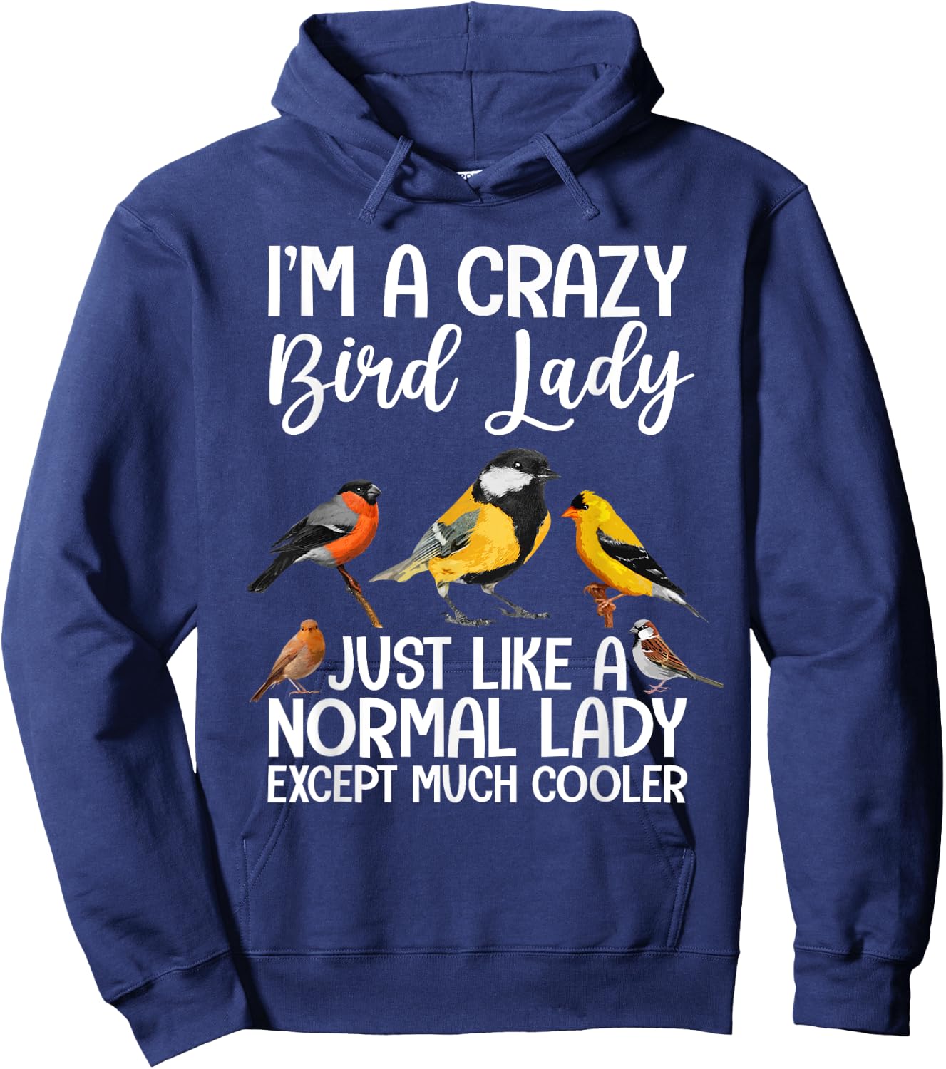 Funny Bird Lady Design Girls Birding Bird Lovers Hoodie - Hoodie | Navy