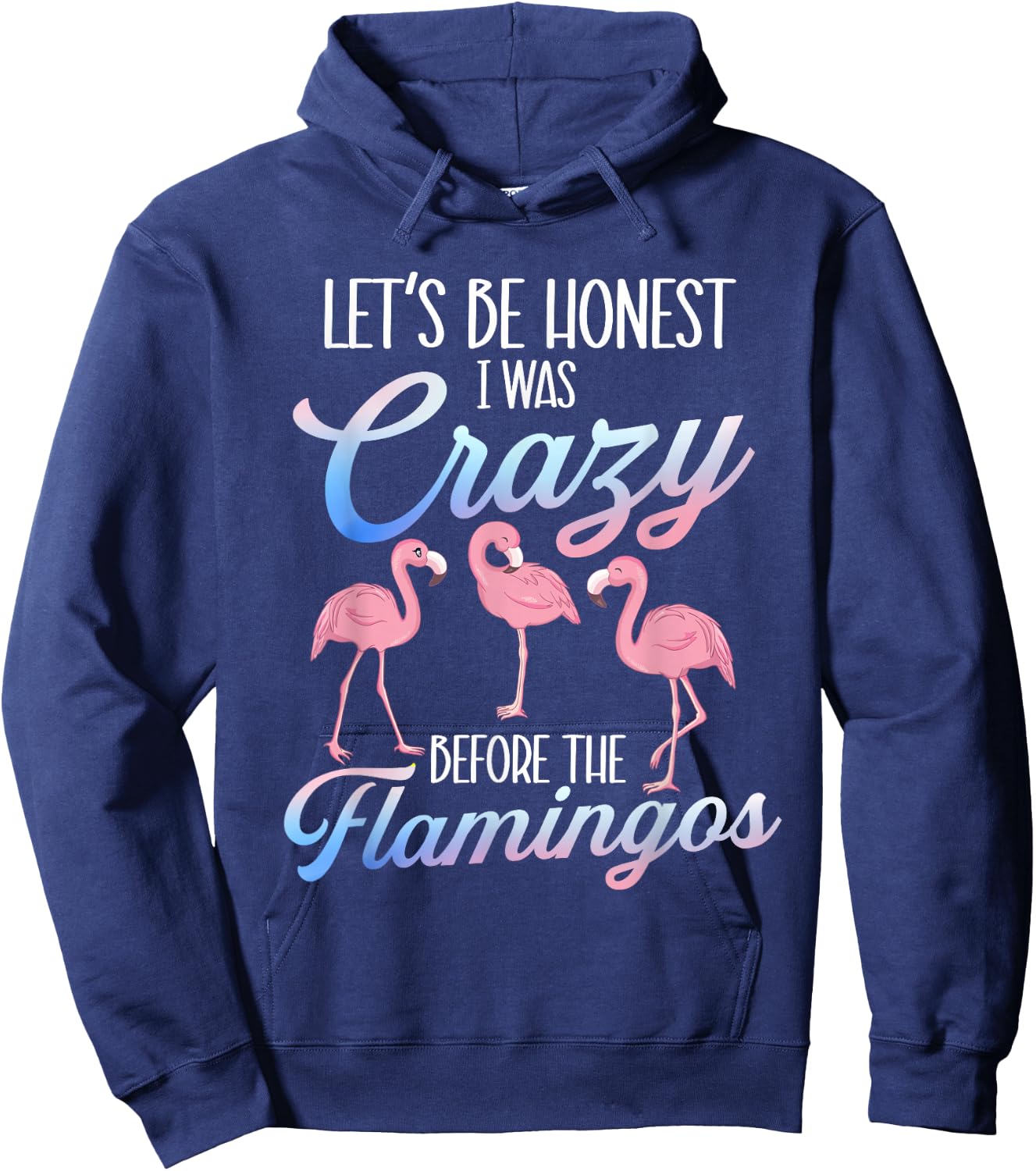 Let's Be Honest I Was Crazy Before - Flamingo Lover Hoodie - Hoodie | Navy
