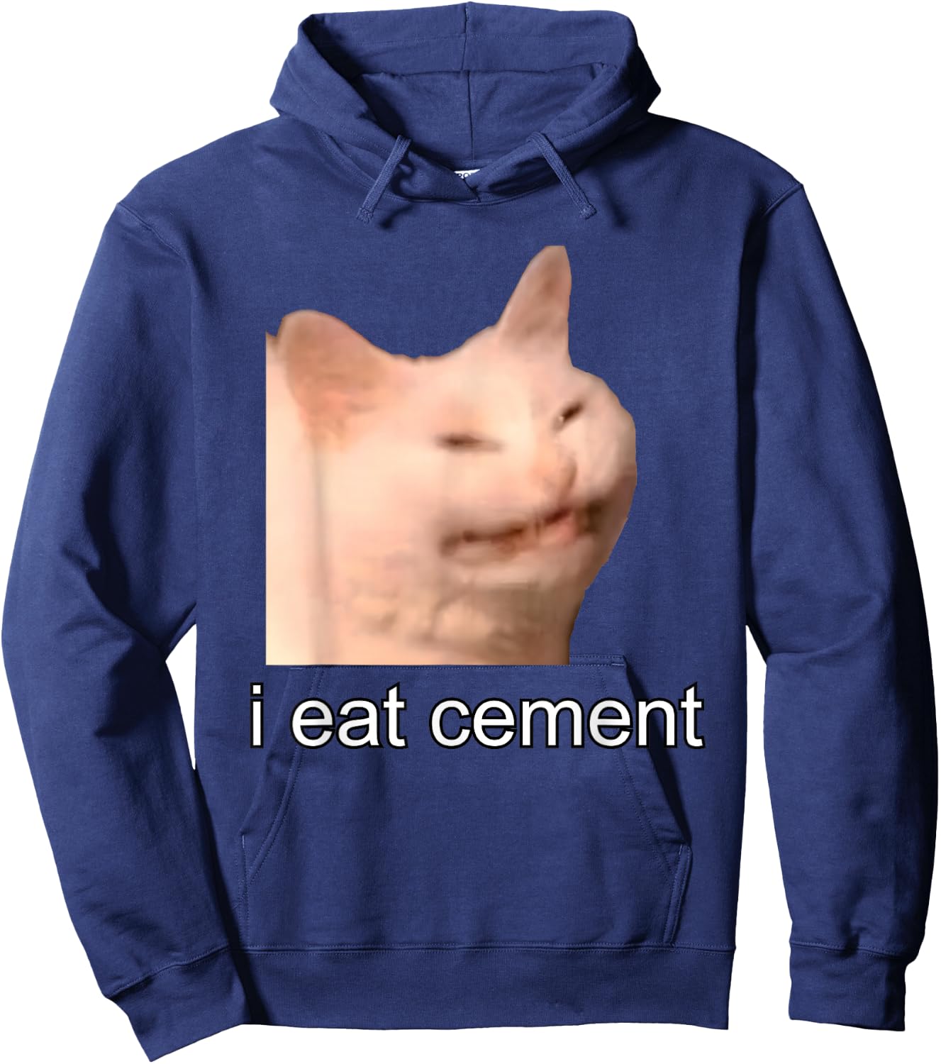 I Eat Cement Cursed Cat Funny Oddly Specific Meme Hoodie - Hoodie | Navy
