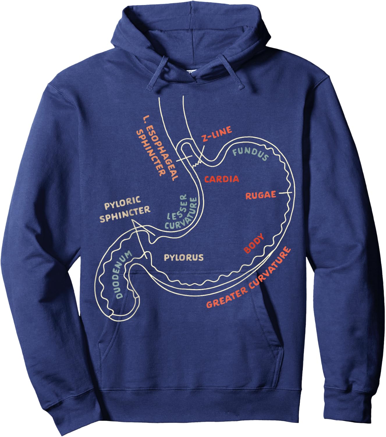 Gastroenterologist GI Nurse Gastroparesis Stomach Anatomy Hoodie - Hoodie | Navy