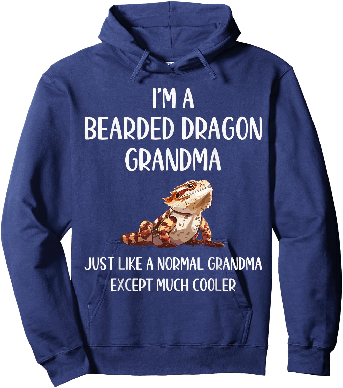Bearded Dragon Grandma Definition Animals Lover Mothers Day Hoodie - Hoodie | Navy