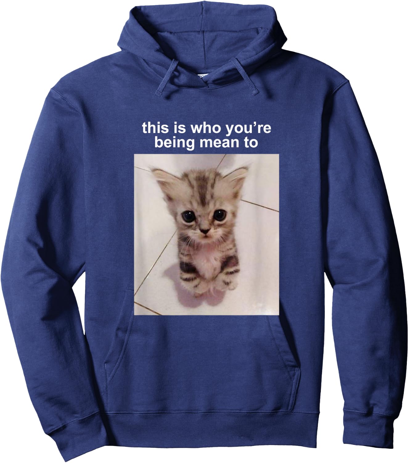 This is Who You're Being Mean to Silly Cat Meme Hoodie - Hoodie | Navy