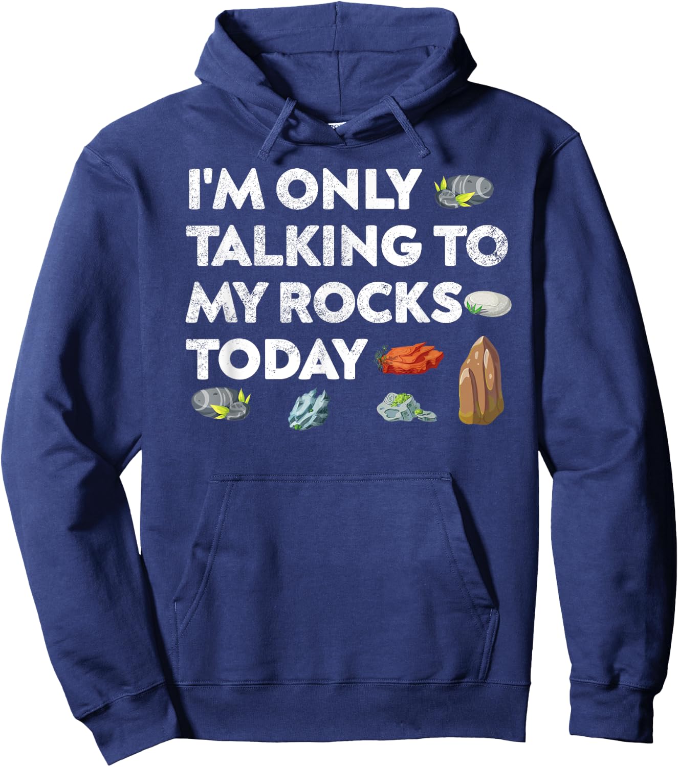 I'm Only Talking To My Rocks Today Geologist Geology Fans Hoodie - Hoodie | Navy