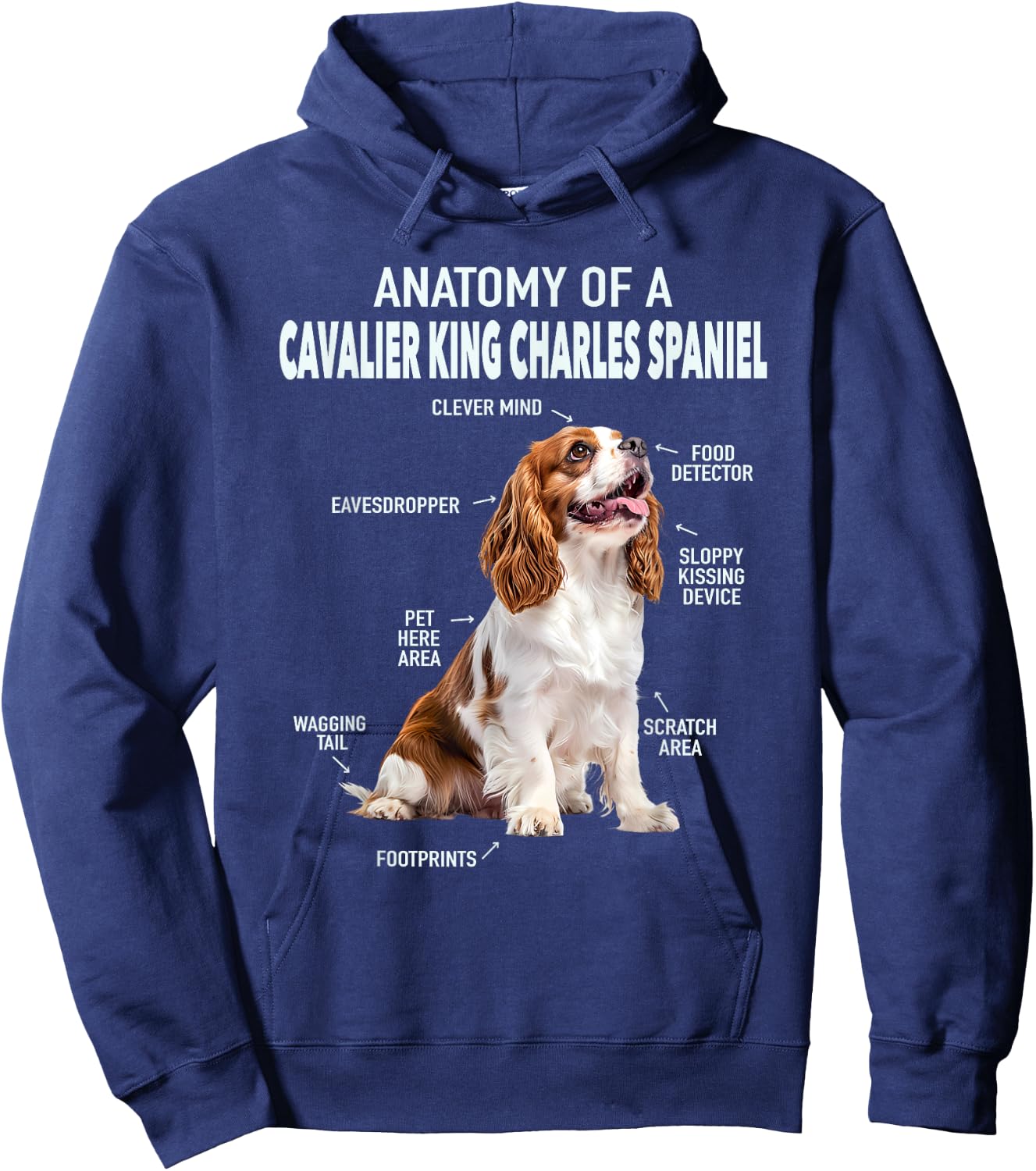 Anatomy Of A Cavalier King Charles Spaniel Hoodie - Hoodie | Navy