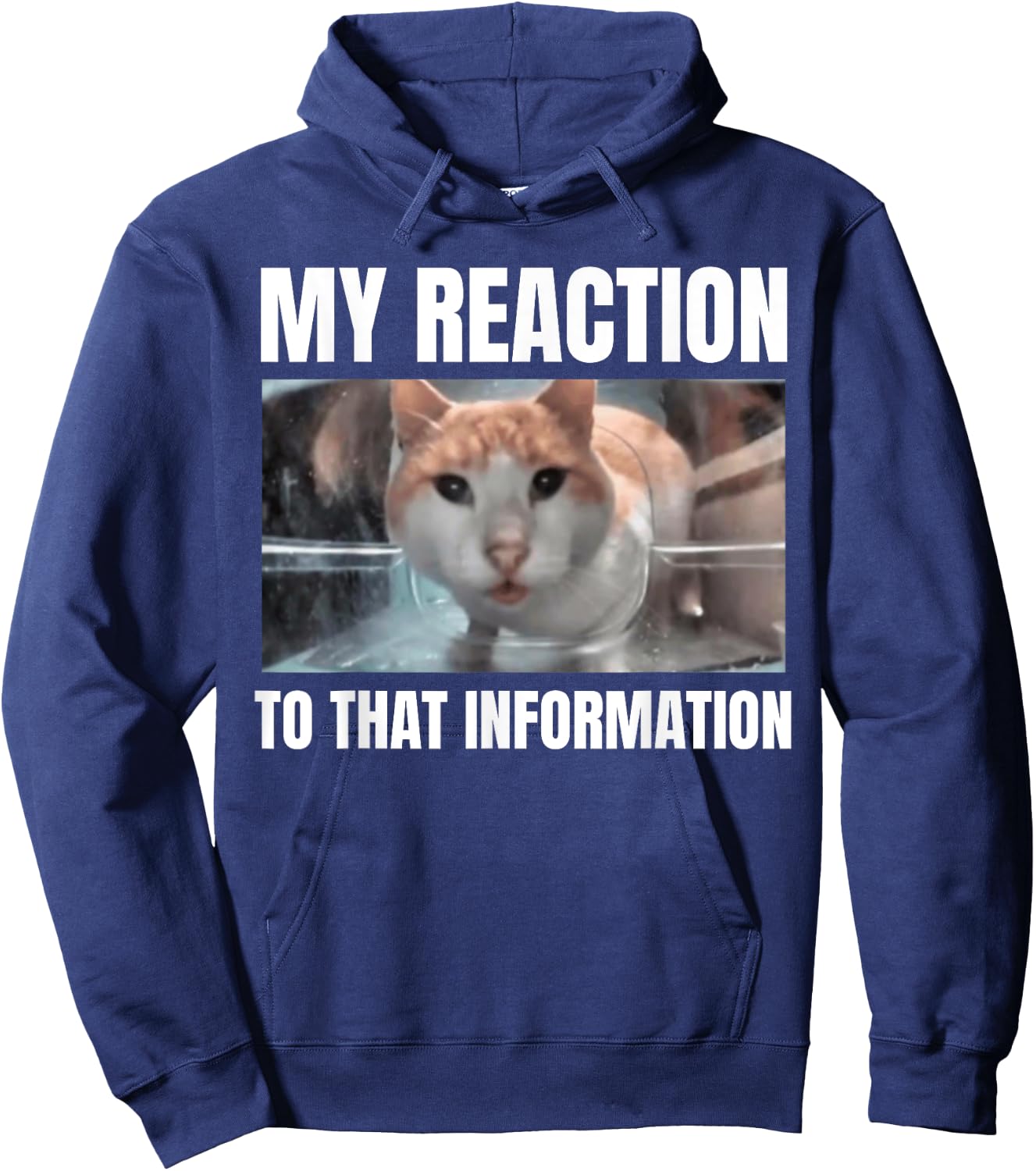 Hello Street Cat Funny Staring Bombastic Side Eye Meme Cats Women Hoodie - Hoodie | Navy