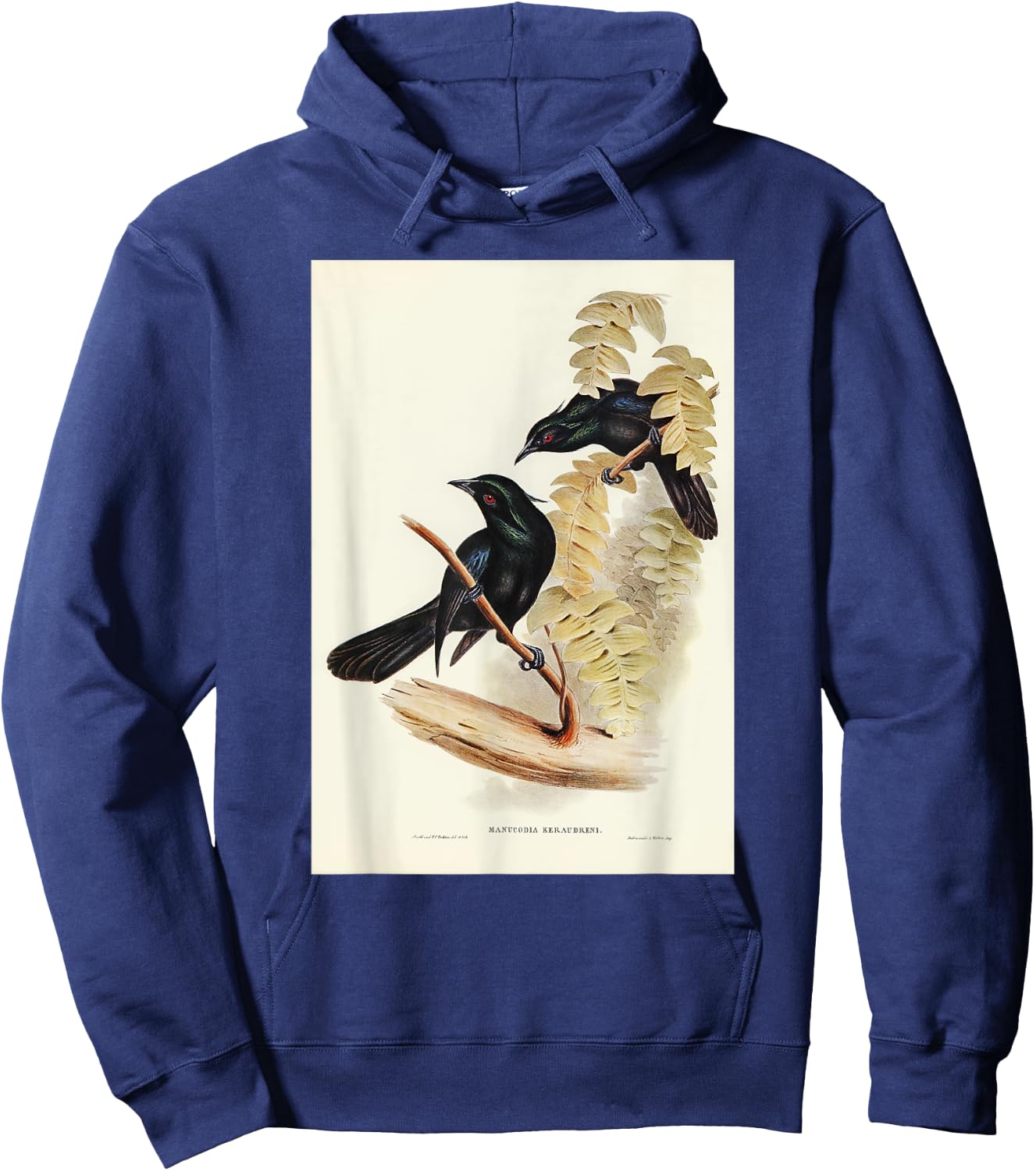 Keraudren's Crow-Shrike Birds Illustration & Women Hoodie - Hoodie | Navy