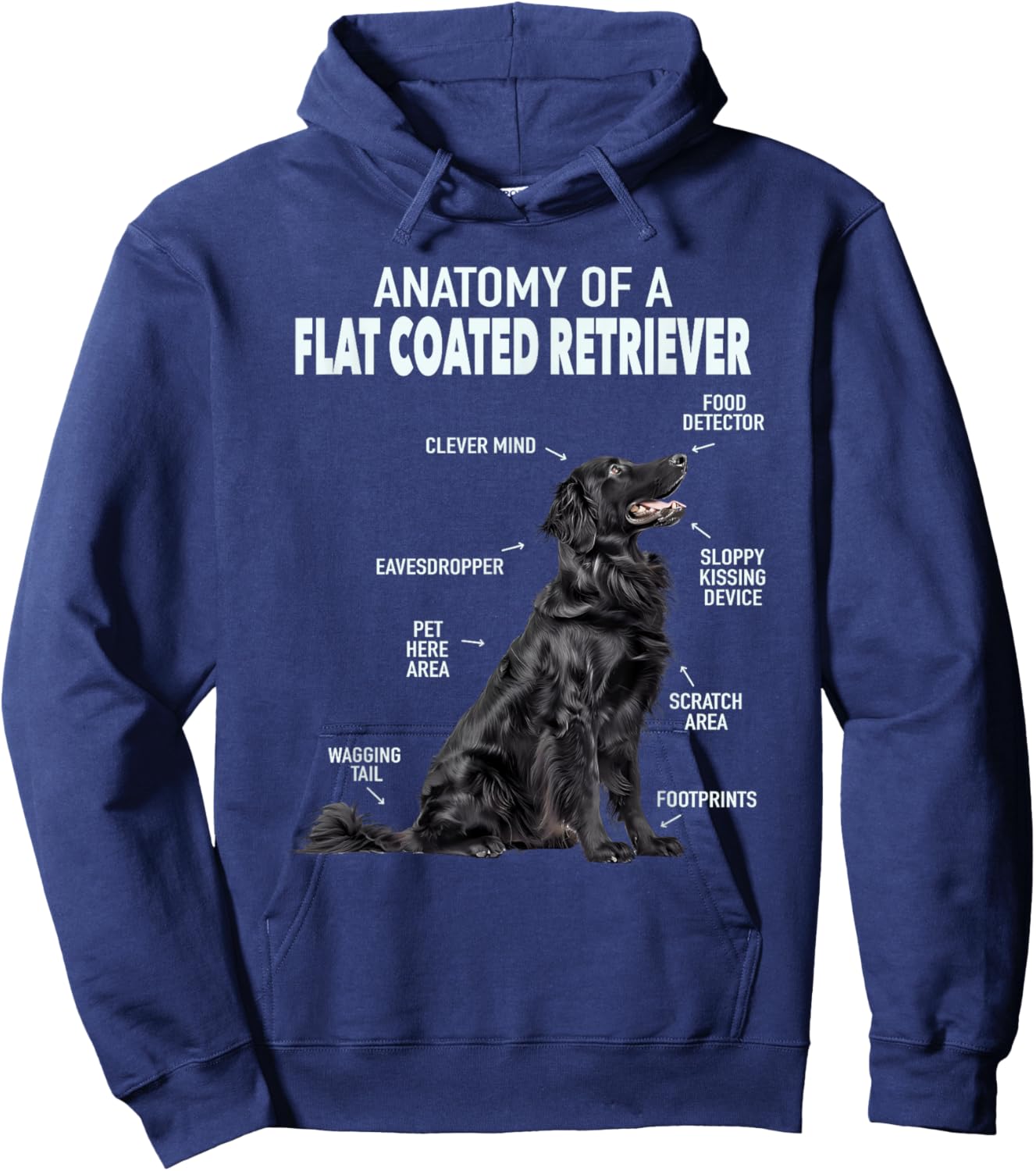 Anatomy Of A Flat Coated Retriever , Small, Black Hoodie - Hoodie | Navy