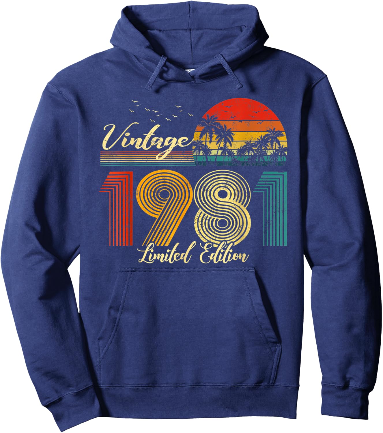 Vintage 1981 Limited Edition Men Women - 42 Birthday Hoodie - Hoodie | Navy