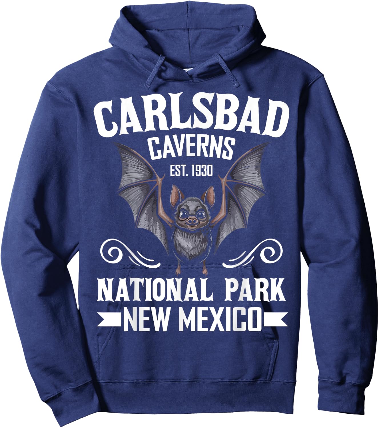 Carlsbad Caverns National Park Bat Mexico Travel Souvenir Hoodie - Hoodie | Navy