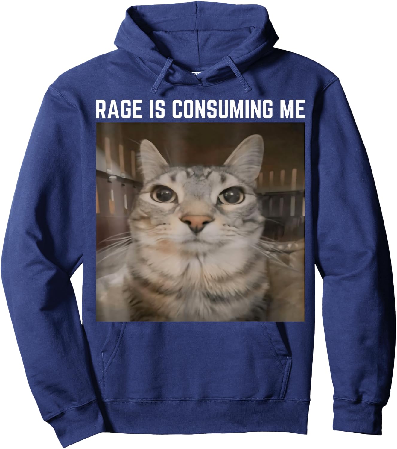 Rage is Consuming Me Meme Cat Meme Oddly Specific Memes Joke Hoodie - Hoodie | Navy