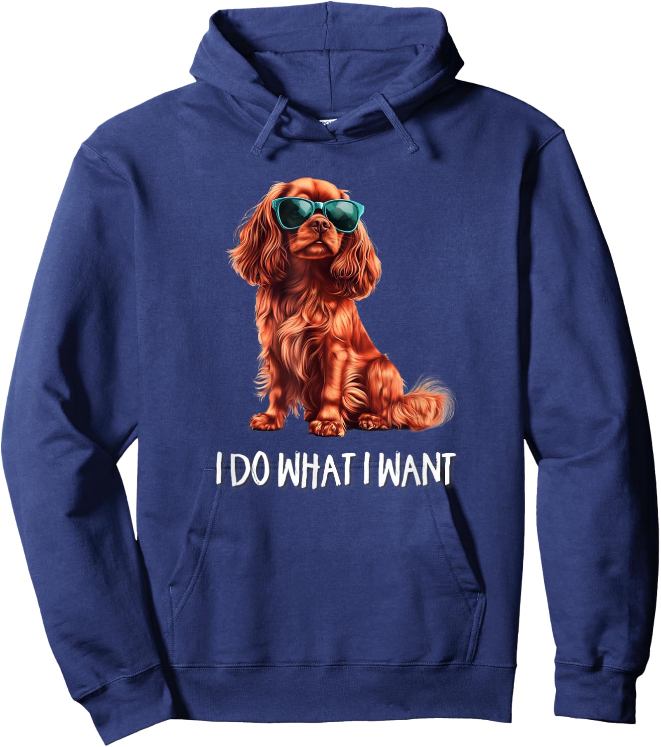 Funny What I Want Ruby Cavalier King Charles Spaniel Lover Hoodie - Hoodie | Navy