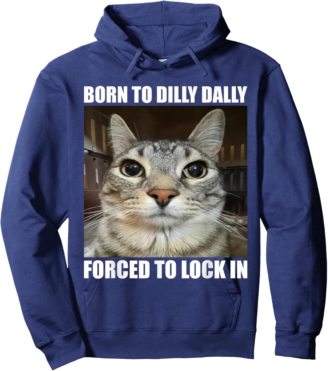 Born To Dilly Dallly Forced To Lock In Cat Lover Hoodie - Hoodie | Navy