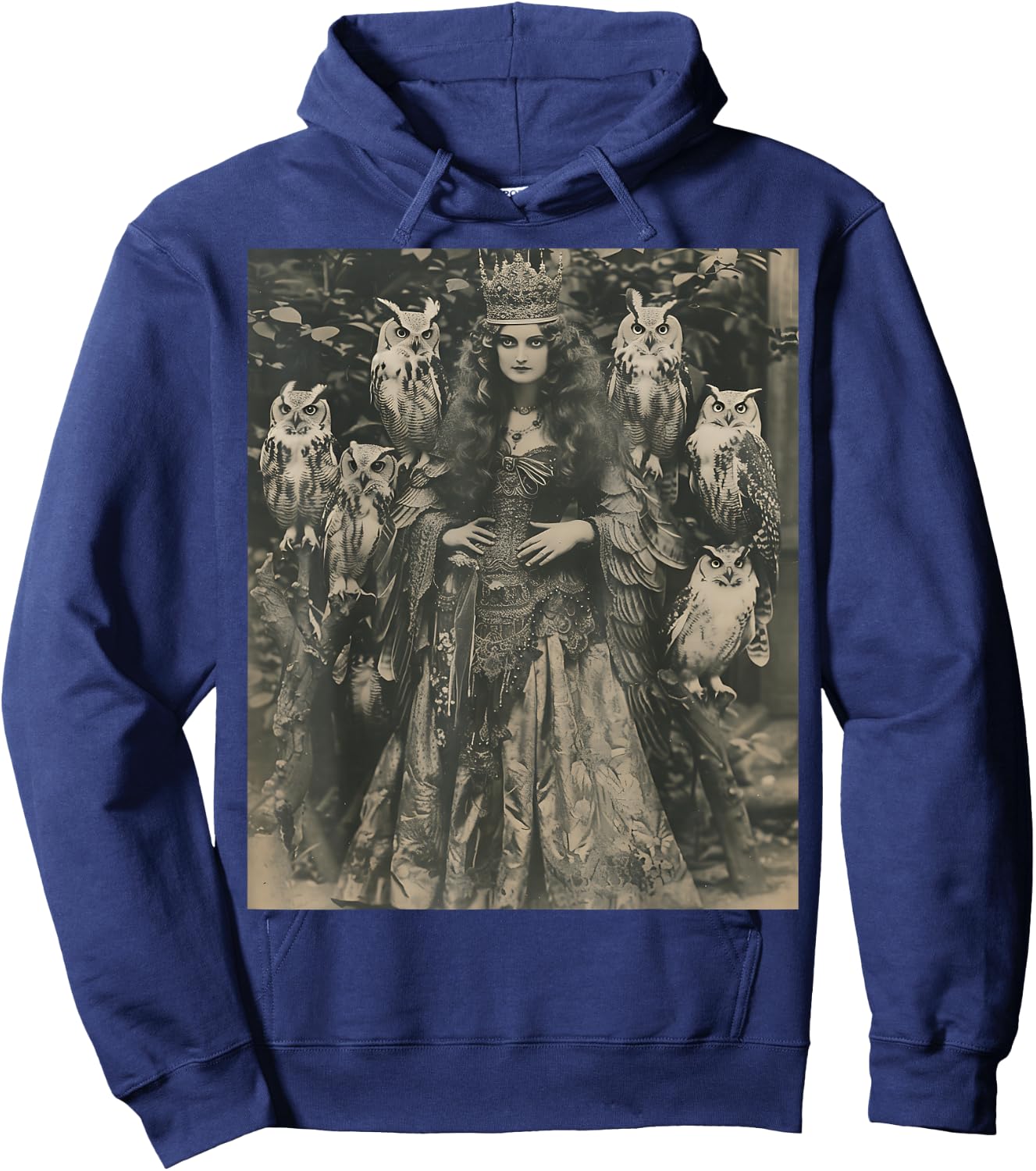 Vintage Witch Sorceress With Raptor Owl Birds Goth Gothic Hoodie - Hoodie | Navy