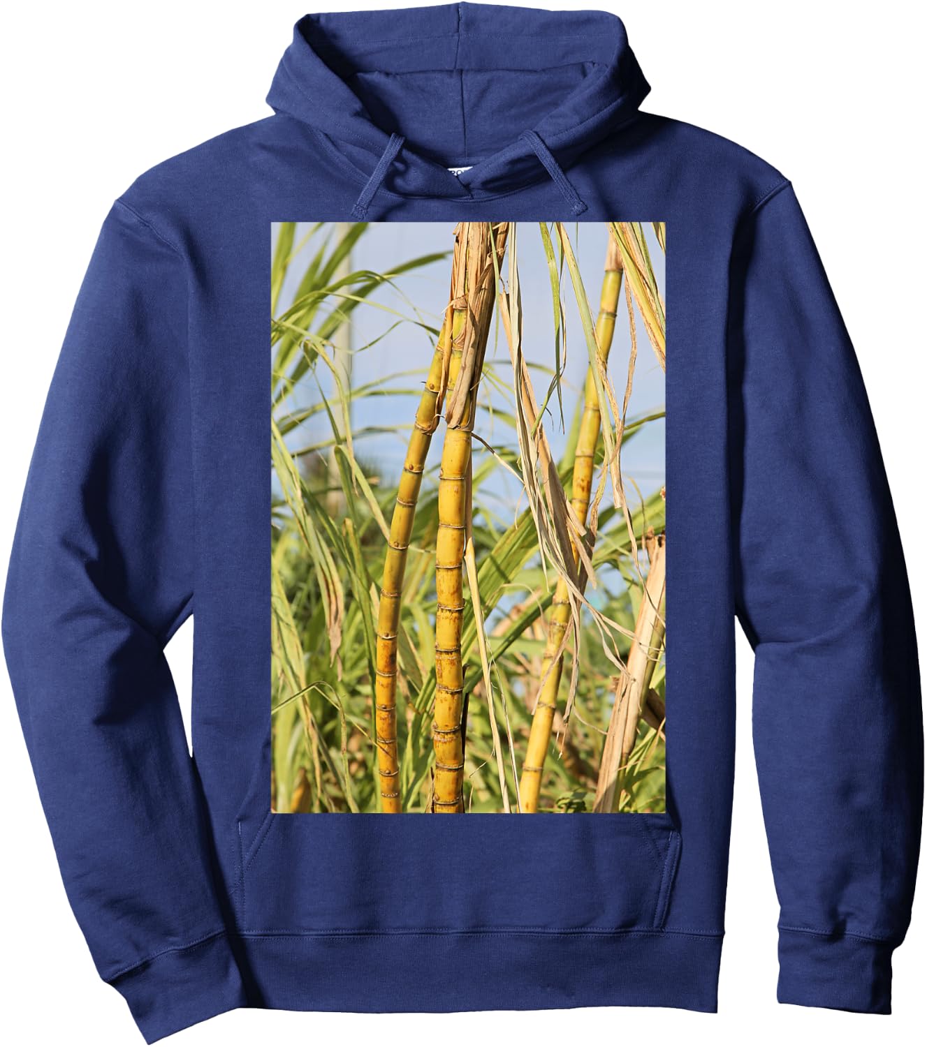 South Florida Sugar Cane Hoodie - Hoodie | Navy