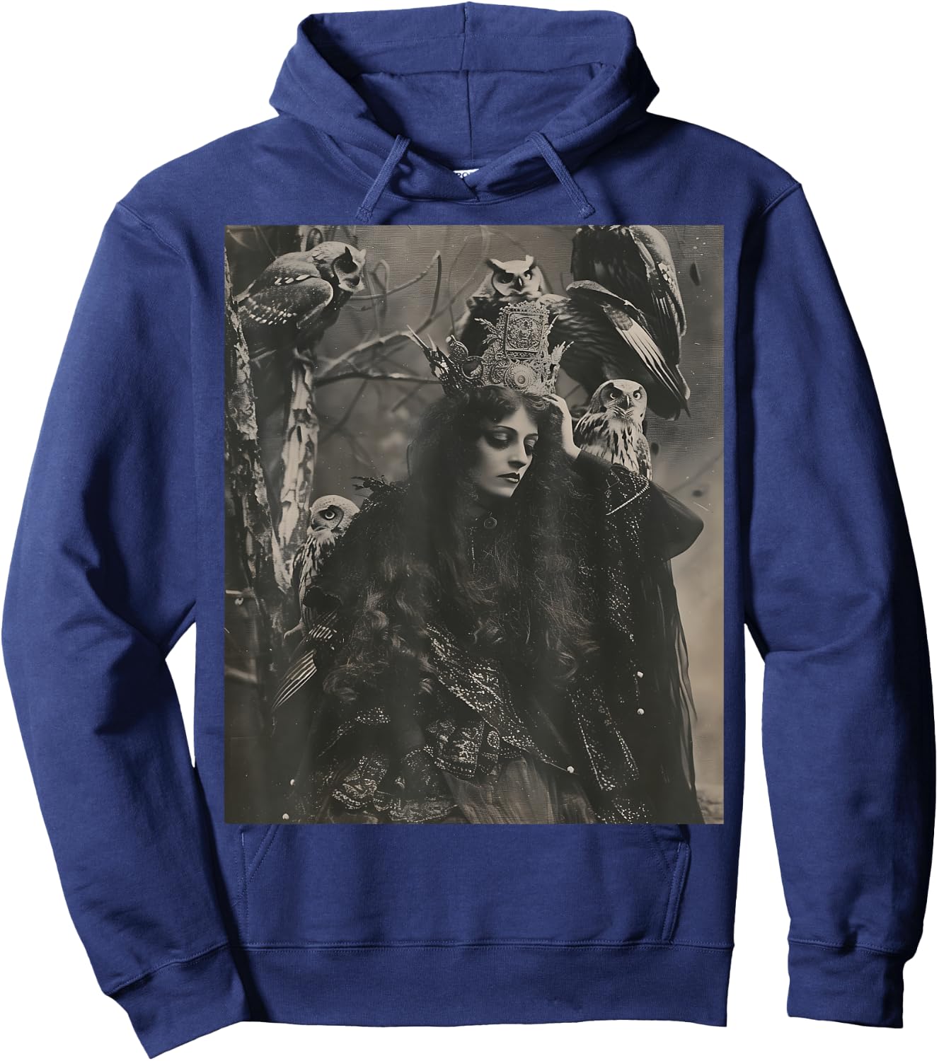 Vintage Witch Sorceress With Raptor Owl Birds Goth Gothic Hoodie - Hoodie | Navy