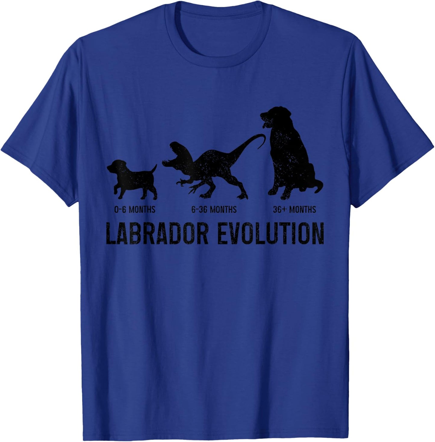 Labrador Evolution Funny Labrador Retriever Mom Dad Dog T-Shirt - T-Shirt | Royal