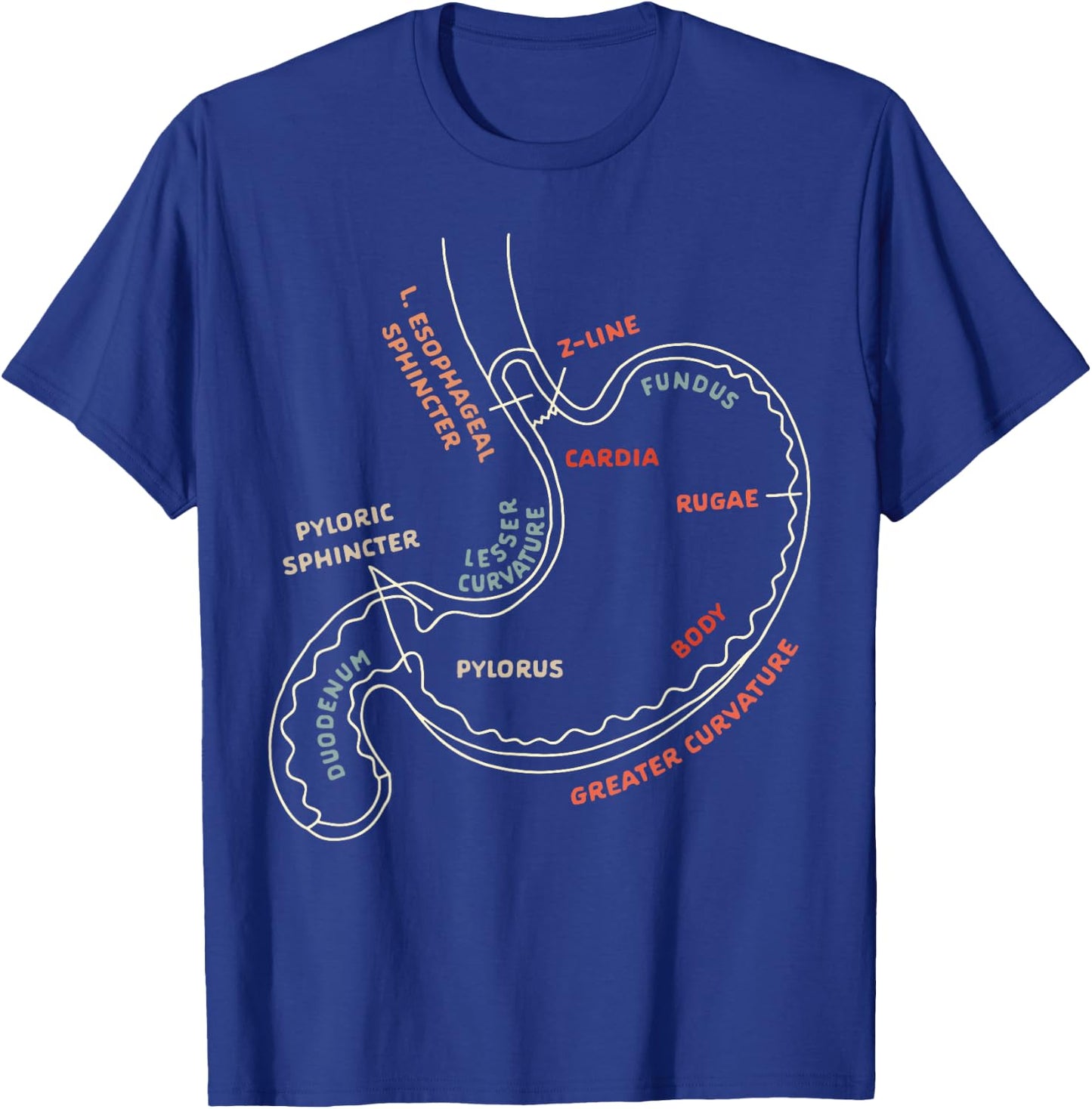 Gastroenterologist GI Nurse Gastroparesis Stomach Anatomy T-Shirt - T-Shirt | Royal