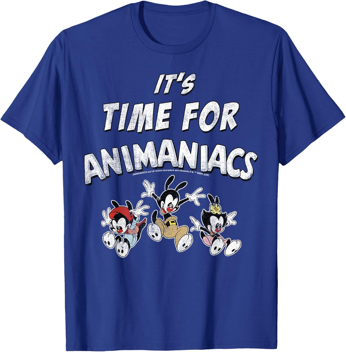 Animaniacs It's Time For Animaniacs Group Shot T-Shirt - T-Shirt | Royal