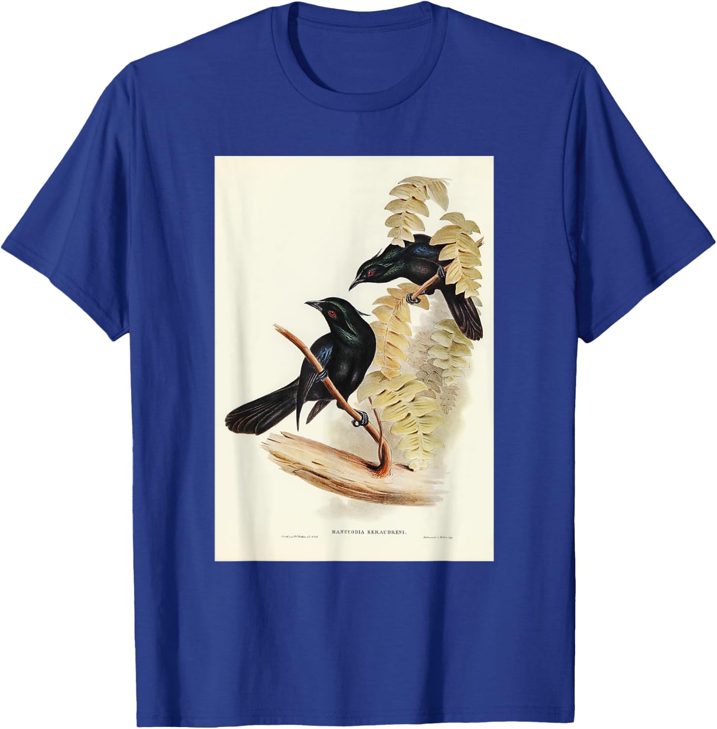 Keraudren's Crow-Shrike Birds Illustration & Women T-Shirt - T-Shirt | Royal