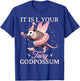It Is I Your Fairy Godpossum Funny Opossum Spirit Animal T-Shirt - T-Shirt | Royal