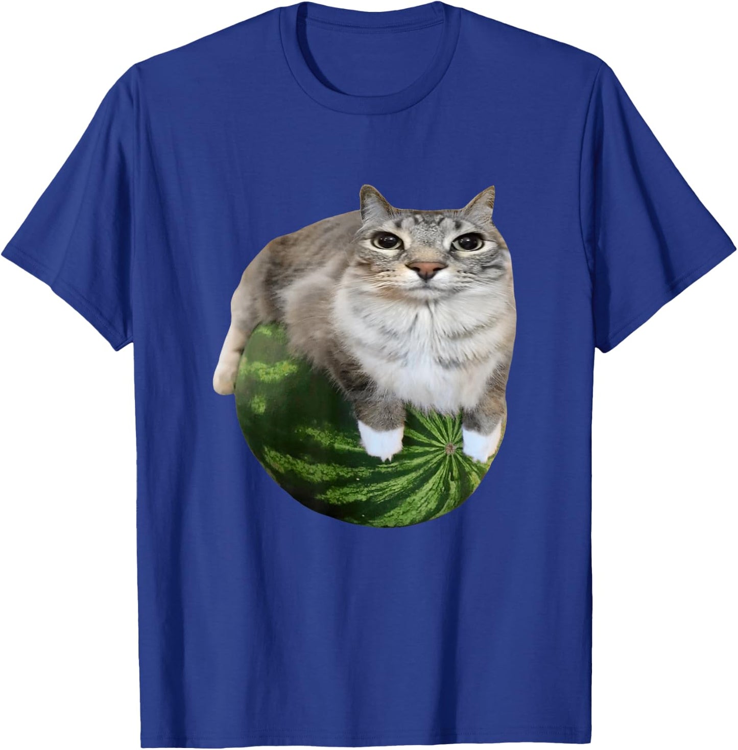 Watermelon Cat Silly Cat Meme T-Shirt - T-Shirt | Royal