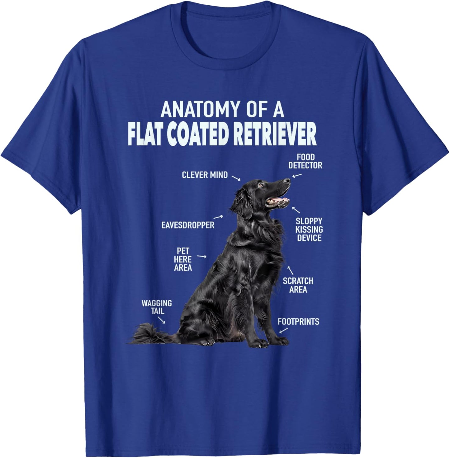 Anatomy Of A Flat Coated Retriever , Small, Black T-Shirt - T-Shirt | Royal