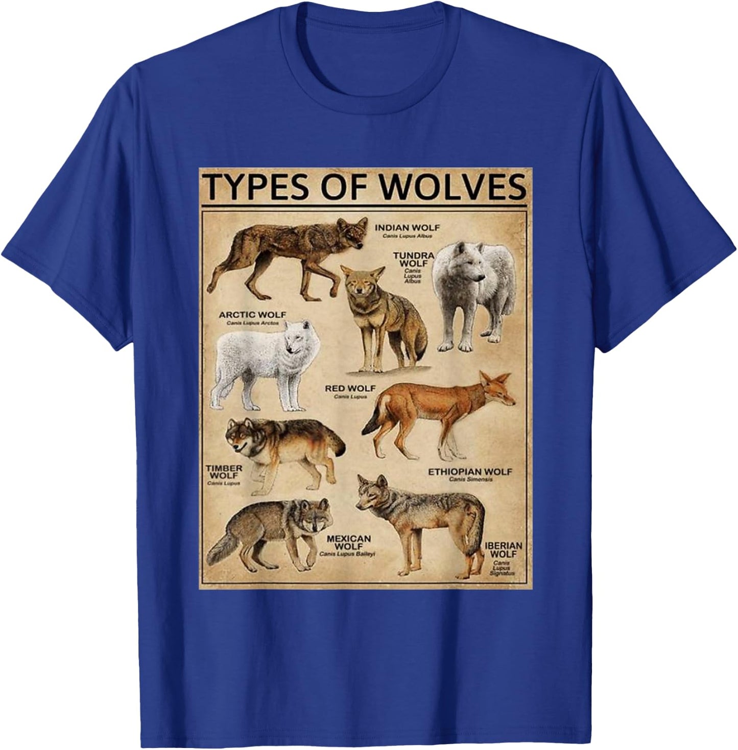Wolf Types Animal Wolves of the World Educational Collection T-Shirt - T-Shirt | Royal