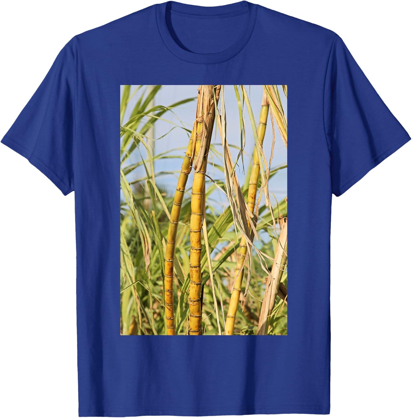 South Florida Sugar Cane T-Shirt - T-Shirt | Royal