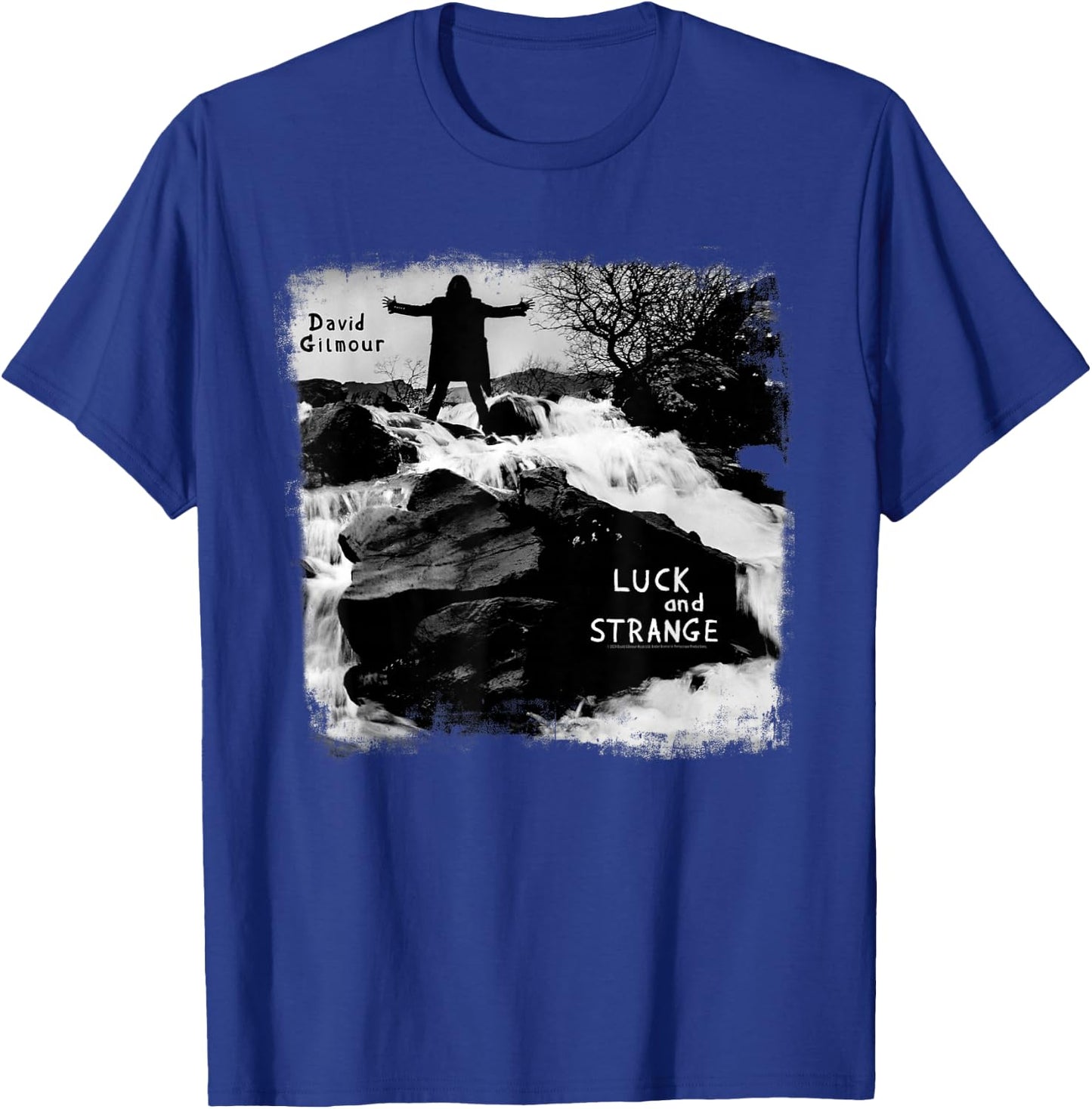 David Gilmour Luck and Strange T-Shirt - T-Shirt | Royal